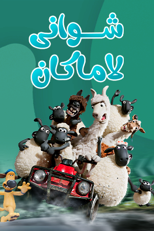 شۆنی مەڕ لە کاتی شوانی لاماکان